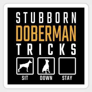 Stubborn Doberman Tricks Magnet